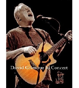 David Gilmour - In Concert