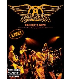 Aerosmith - You Gotta Move