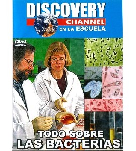 Todo Sobre Las Bacterias