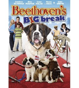 Beethoven´s Big Break