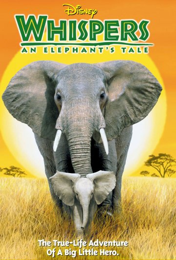 Whispers: An Elephant's Tale