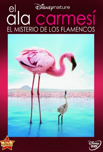 El misterio de los flamencos