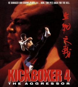 Kickboxer 4: The Aggressor