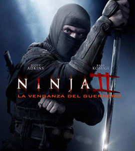 Ninja: Shadow of a Tear