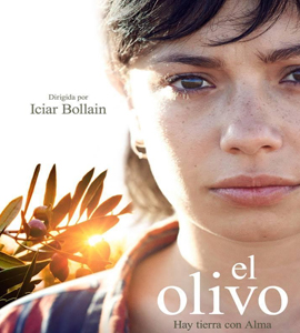 El olivo